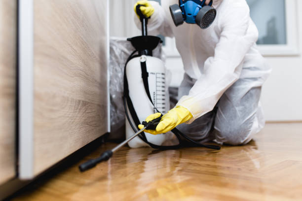 Best Commercial Pest Control Services  in Yale, MI