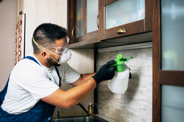 Best Affordable Exterminators  in Yale, MI