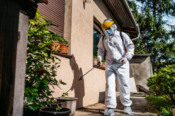 Best Emergency Pest Control  in Yale, MI