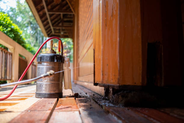 Best Pest Removal Services  in Yale, MI