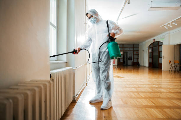 Best Affordable Pest Control Services  in Yale, MI