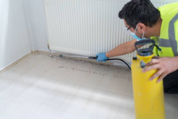 Best Mosquito Control Services  in Yale, MI