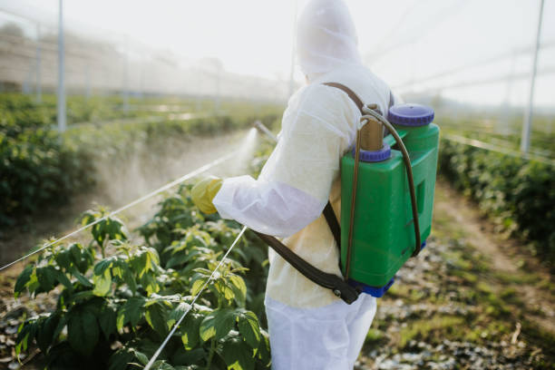 Best Cockroach Control Services  in Yale, MI